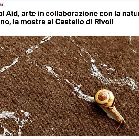 Appartamento La Casa Di Silvio Ai Giardini Reali Torino Esterno foto